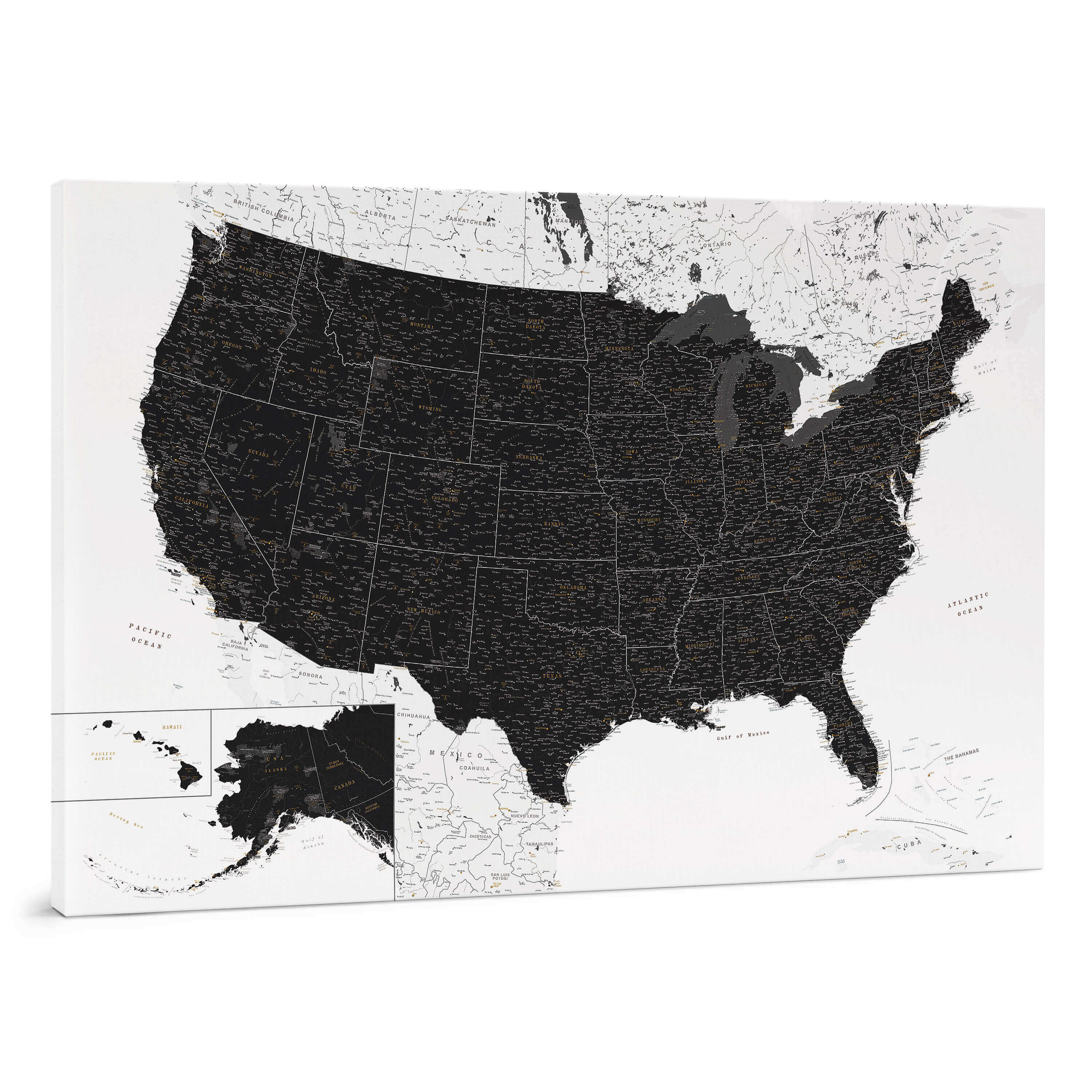 Push Pin USA Map - Black and White (Detailed) 