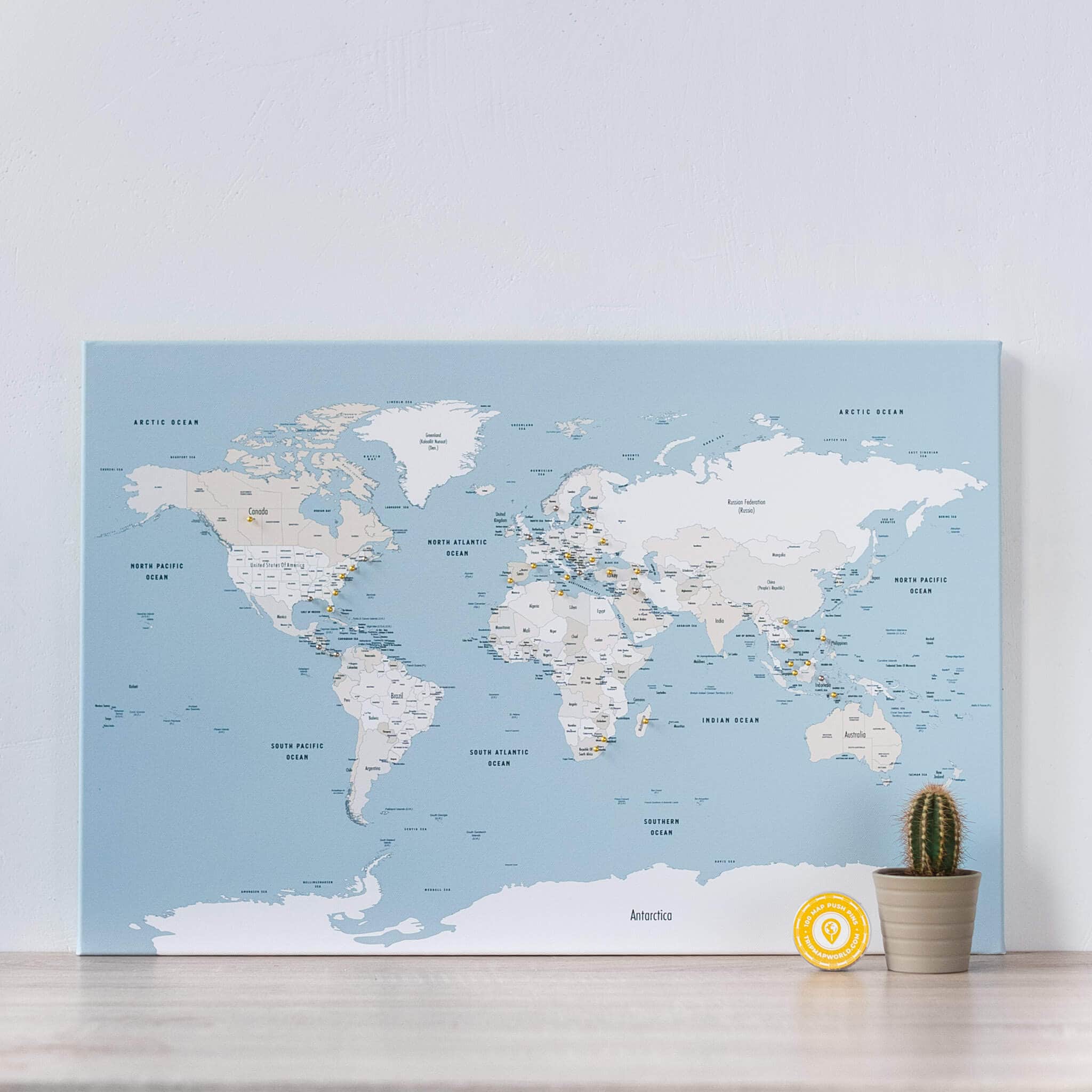 Small Push Pin World Map Places You've Been Pin Board Mellow Blue